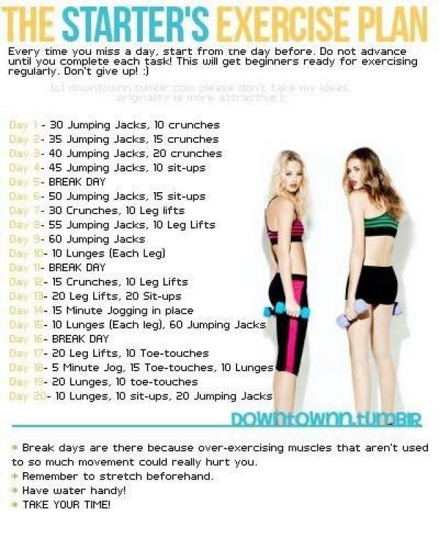 Gym Program To Lose Weight Fast