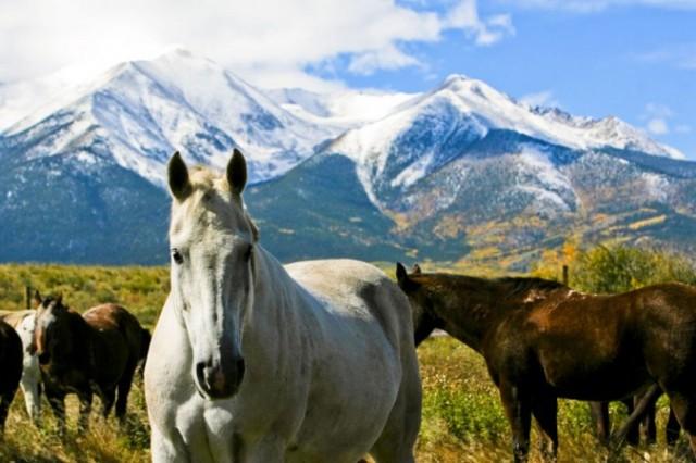 honeymoon packages colorado honeymoon packages colorado
