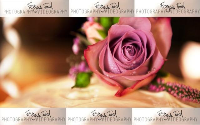 wedding photo - Fergus Ford Photography