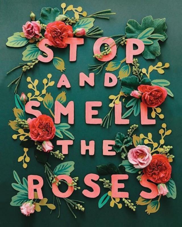 Smell The Roses A Floral Village And Have A Lovely Weekend Snippet