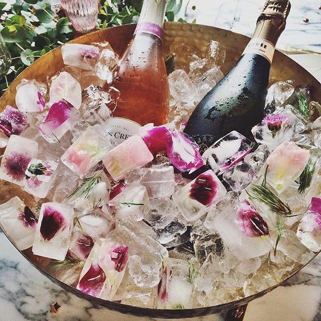 wedding photo - Nouba On Instagram: “A Little Tipple Inspiration Courtesy Of Sydney Style Guru @paulinemorrissey. Love Those Floral Ice Cubes!  (via @beckrocchiphotography)…”