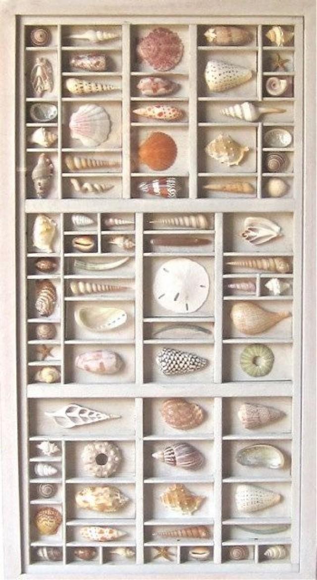 Mixed Media Collage, Assemblage, Seashell Wall Sculptural Relief, With Hand Cut Colorful Seashells, A Composition In Reclaimed Type Boxes