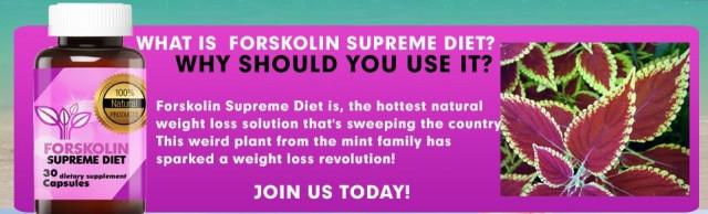 wedding photo - Is Forskolin Supreme Diet Scam?-100% Shocking NEWS Alert!!