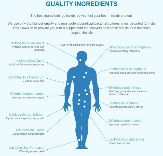 wedding photo - Make your digestive system strong with Probiotics!