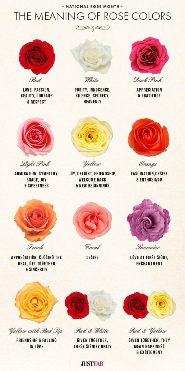wedding photo - National Rose Month: The Meaning Of Rose Colors