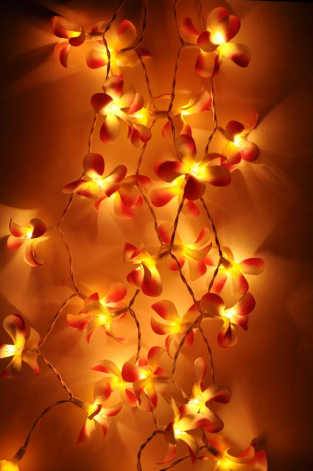 wedding photo - Mixed pink Frangipani flower string lights for Patio,Wedding,Party and Decoration (20 bulbs)