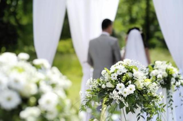 wedding photo - Want to Become A Wedding Planner? Consider Few Things Before You Start...