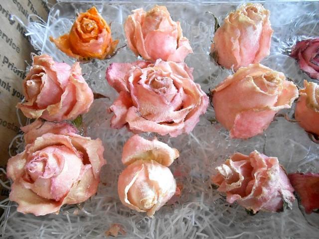 wedding photo - 12 OLD FASHIONED Candied ROSES, Pastels, Edible Flowers, Cake Toppers,Real Roses, Organically Grown, Eco Friendly