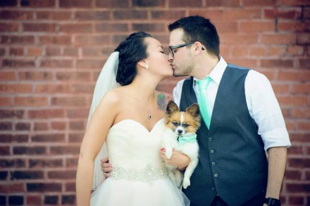 wedding photo - Mint Dog Bow Tie For Dog Of Honor
