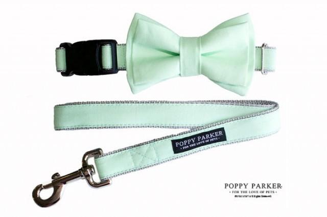 wedding photo - Mint Green Layered Dog Bow Tie