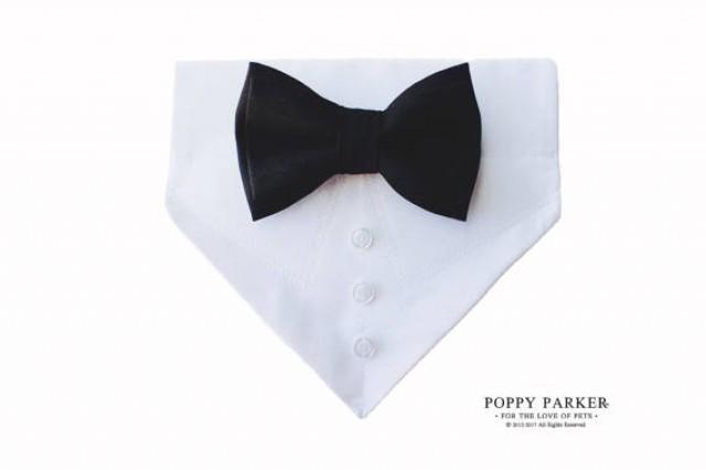 wedding photo - Dog Tuxedo Bandana With Matching Bow Tie and Collar - Choose Your Color - 45 Colors Available - Black Tuxedo Dog
