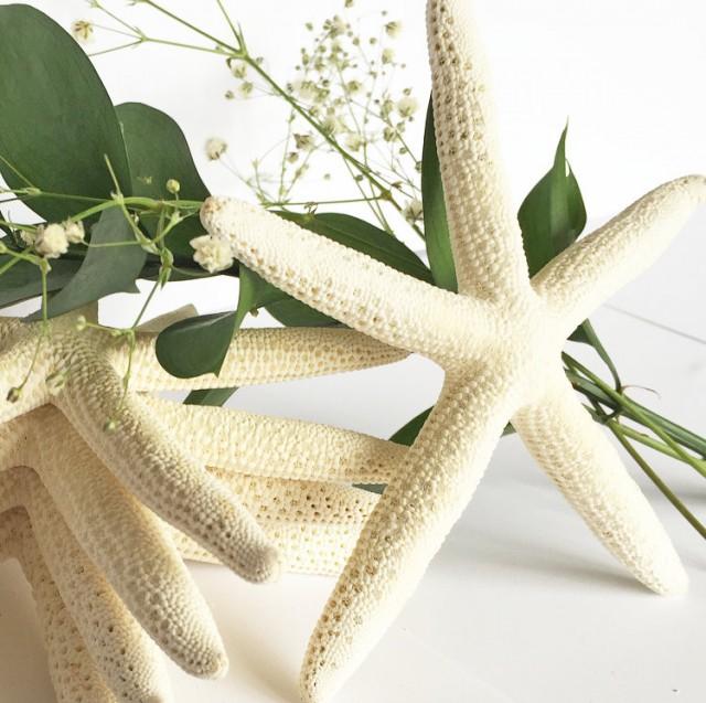 Starfish - White Starfish - Beach Wedding Decor - Starfish Crafts - Bulk Starfish - 6&quot; Starfish - Tropical Wedding - Sea Shell Home Decor