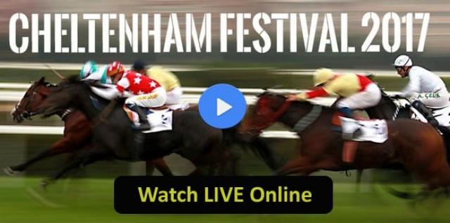 wedding photo - Cheltenham Festival - 2017, Live Stream, Watch, Horse Racing, Cheltenham, TV Coverage