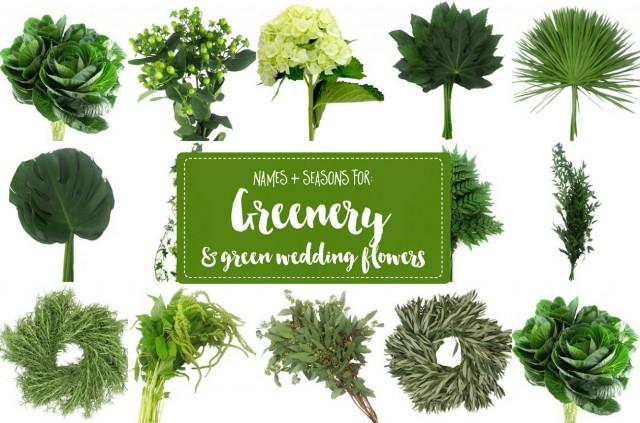 Guide To Greenery For Weddings Green Wedding Flower Names Guide To Greenery For Weddings Green Wedding Flower Names Weddbook