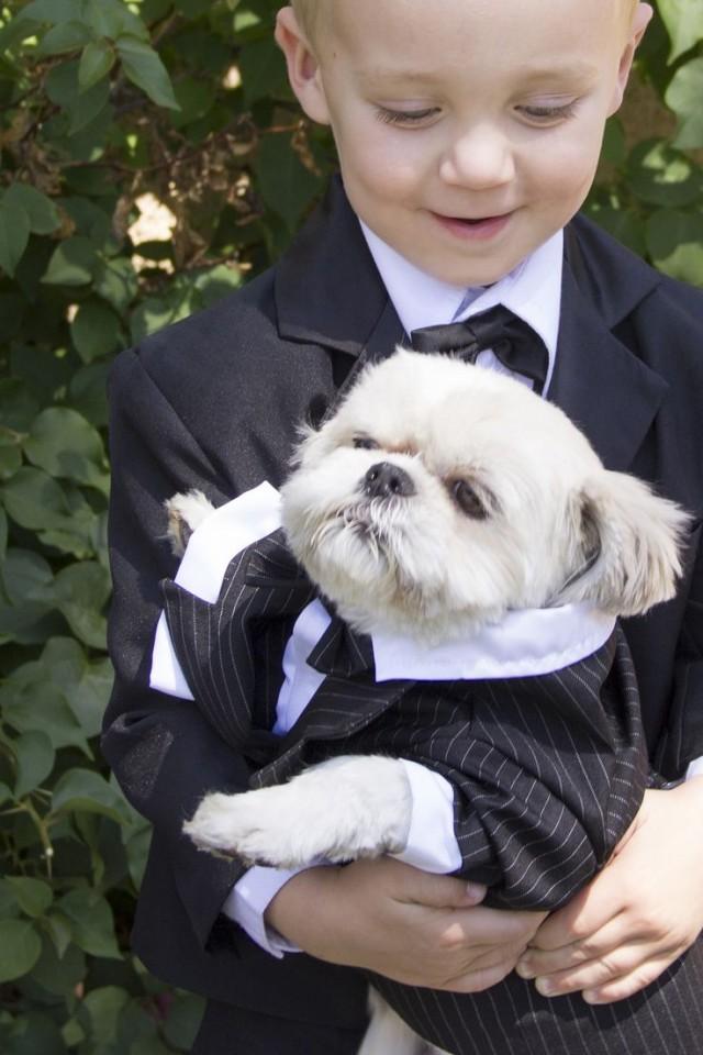 wedding photo - Pet Friendly Weddings: Including Pets In Big Day Plans