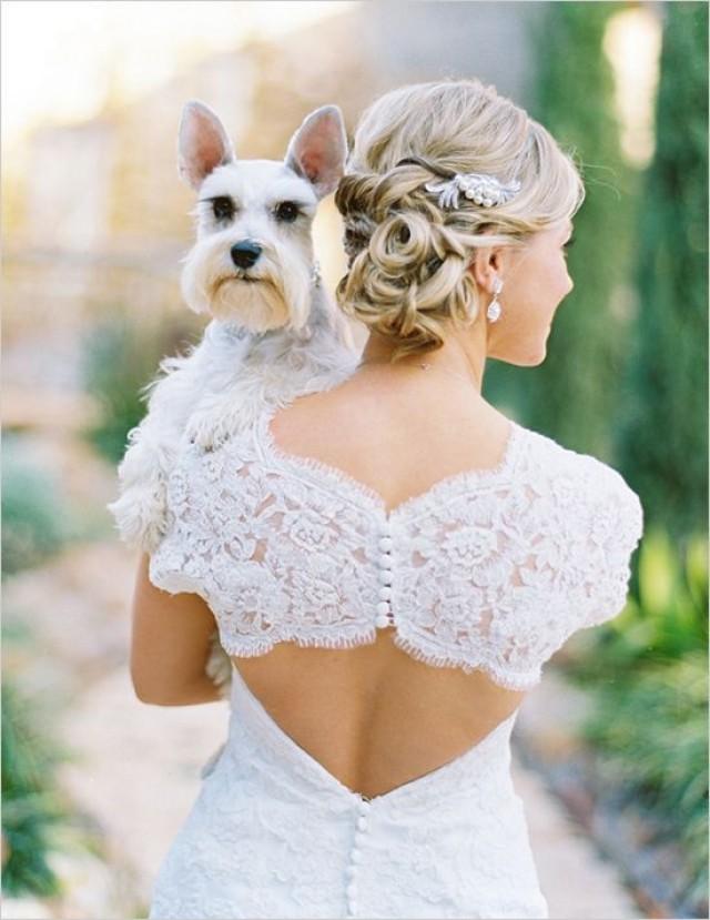 wedding photo - How To Include Your Dog In Your Wedding Day