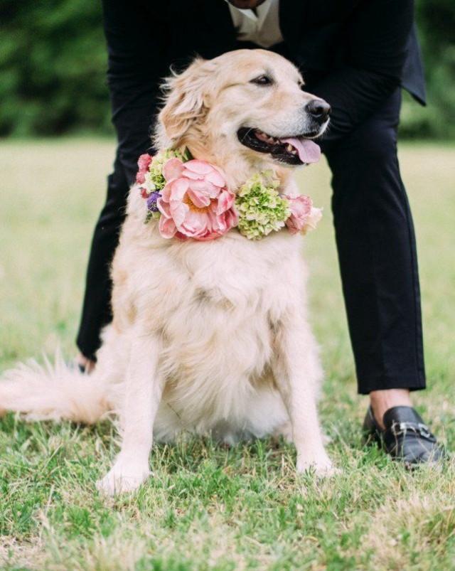 23 Wedding Flower Ideas That Are Just Really Pretty