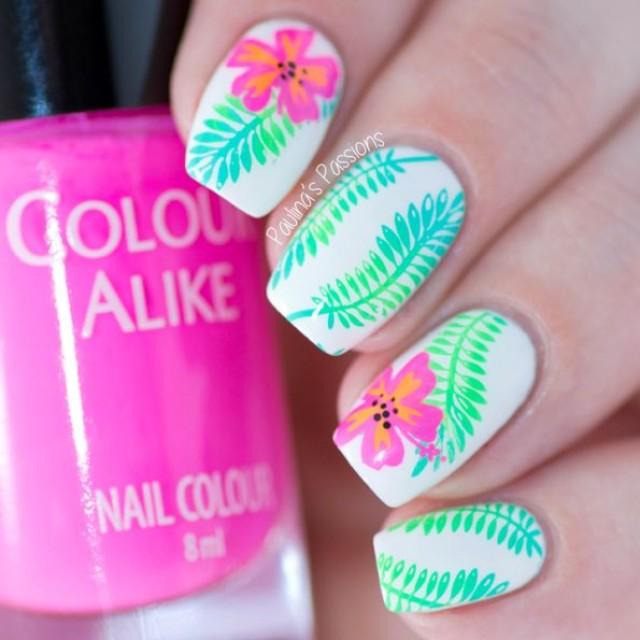 Paulina's PassionsWhats Up Nails Fields Of Flowers Stamping Plate Review (VIDEO) 