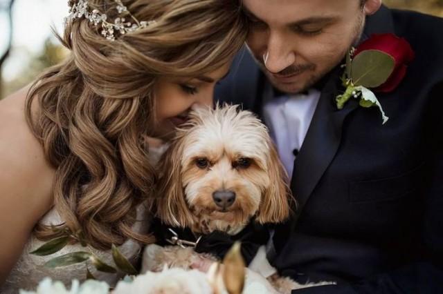 Cute Wedding Dog Idea - #weddingdog {Alisa Sue Photography} 