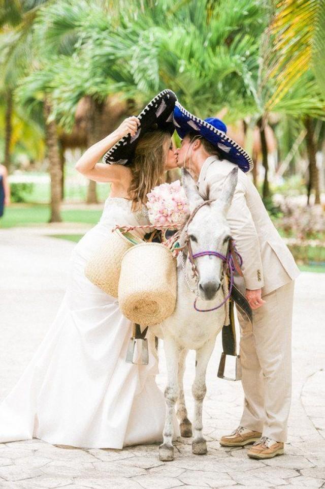 Fun Wedding Animal Idea - Donkey At Wedding {Shannon Skloss Photography} 