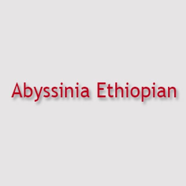wedding photo - Abyssinia Ethiopian Menu, Prices And Locations