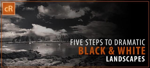wedding photo - Five Steps to Dramatic Black & White Landscapes in Lightroom