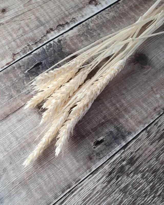 MINI - Wheat Bunch - Off White