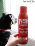 Fish Foam Review + Giveaway