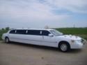 Rent a limousine for a wedding