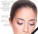 Ask the Experts: How Do I Use An Eyeshadow Palette?