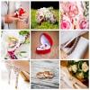Now You can Organize On The Go With Wedding planner apps