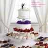 Free Wedding Mobile Apps To Find Spring Season Wedding Cakes