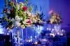 Share Your Wedding Planning Ideas on iWedPlanner Forums