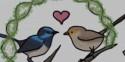 WATCH: Are Any Animals Truly Monogamous?