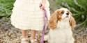 10 Reasons To Include Your Pet In Your Wedding