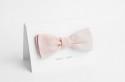 Groom's Ties in Blush and Champagne