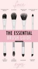 The Essential Brush Guide