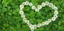 5 Ways to Go Green At Your Wedding