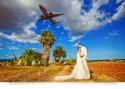 After Wedding Shooting Mallorca - ein Bild und seine Geschichte