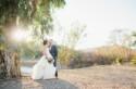Fall California Vineyard Wedding: Abigail + Steve