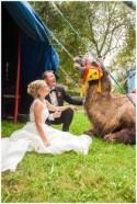 Kunterbuntes After Wedding Shooting in Zirkus von Angela Krebs