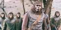 This Actress Had A 'Planet Of The Apes'-Themed Wedding (Yes, Seriously)