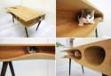 Shared Table for People and Cats