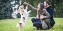 Incorporating Your Dog In Your Proposal