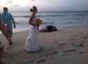 This Is What Happens When A Giant Sea Turtle Crashes Your Wedding