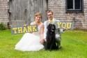 A Cheery, Lemon Yellow Wedding In Parry Sound, Ontario