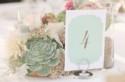 Ultimate Succulent Wedding Inspiration Guide 