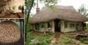 Eco-friendly Hobbit House For $250