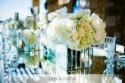 Wedding Suppliers and Vendors