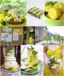 Lemon and Lime Wedding Ideas